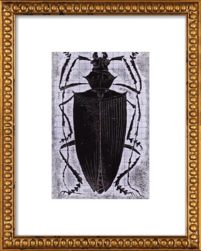 Black Beetle on Grey by Tennopent Sooster for Artfully Walls