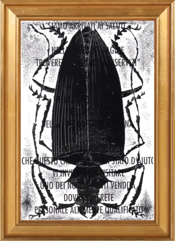 Black Beetle on Words by Tennopent Sooster for Artfully Walls