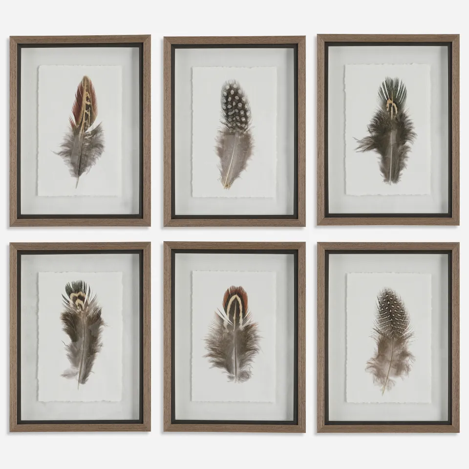Birds Of A Feather Framed Prints Set/6