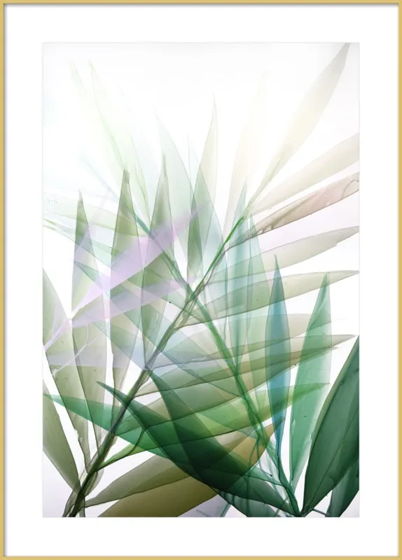 Tropical Study no. 8 by Marina Dunbar  for Artfully Walls