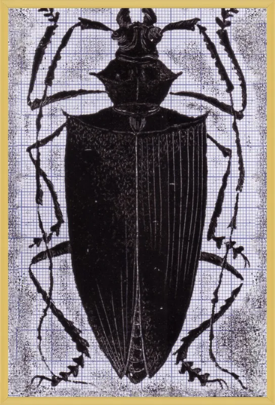 Black Beetle on Grey by Tennopent Sooster for Artfully Walls