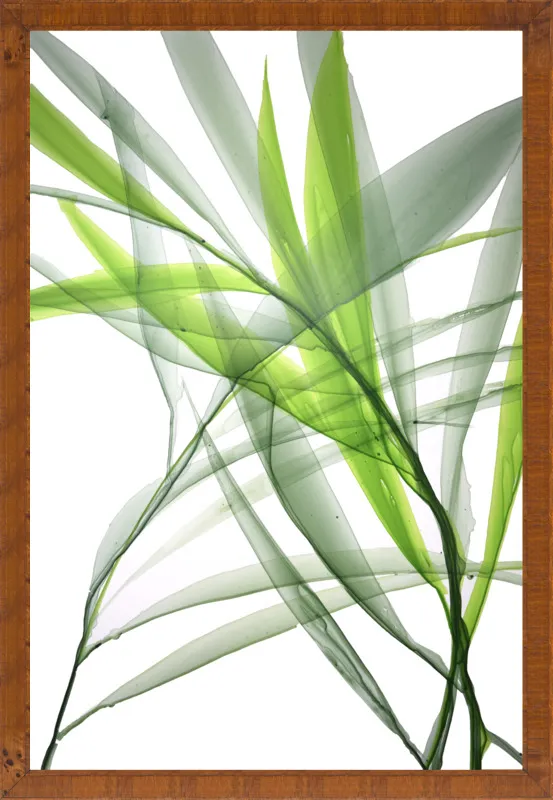 Tropical Study no. 3 by Marina Dunbar  for Artfully Walls