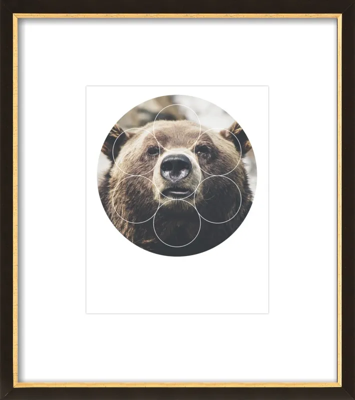 Big Bear Buddy - Geometric Photography by Emiliano Deificus for Artfully Walls
