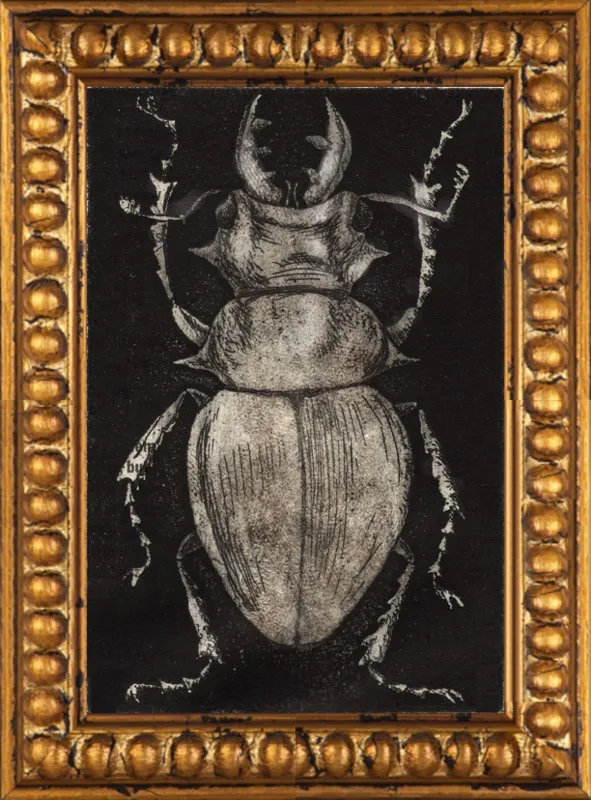 Grey Beetle on Black by Tennopent Sooster for Artfully Walls