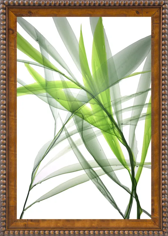 Tropical Study no. 3 by Marina Dunbar  for Artfully Walls