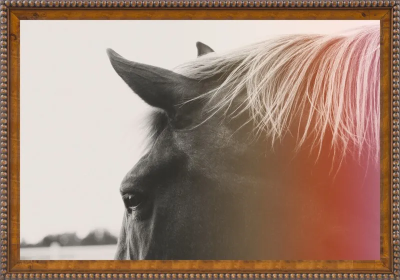 Pink Pony by Alicia Bock for Artfully Walls