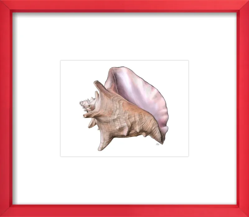 Queen conch  by Emily S. Damstra for Artfully Walls