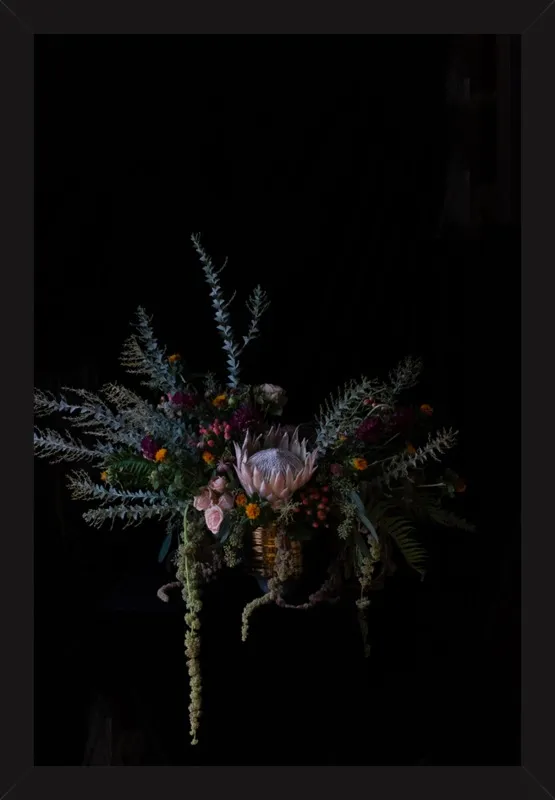 Protea Floral Still Life by Emilia Jane Schobeiri for Artfully Walls