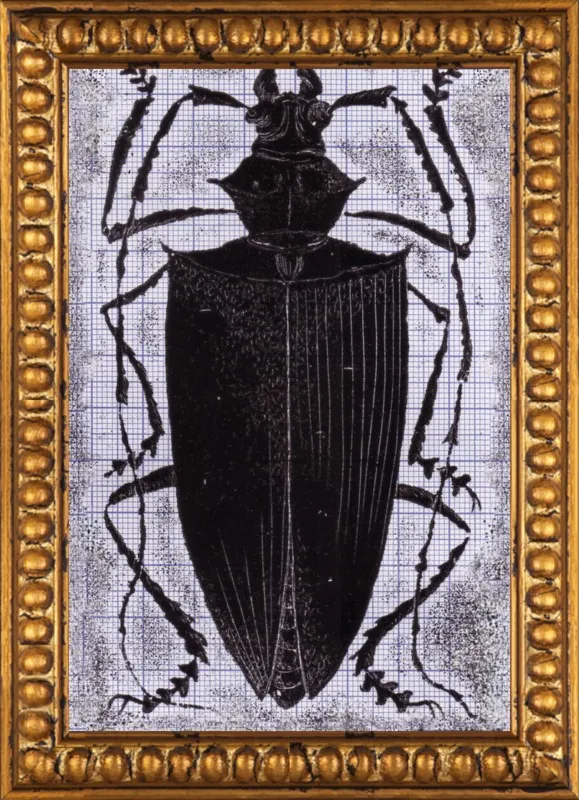 Black Beetle on Grey by Tennopent Sooster for Artfully Walls