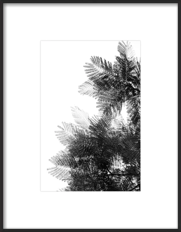 The Tree Top I by Tal Paz-Fridman for Artfully Walls