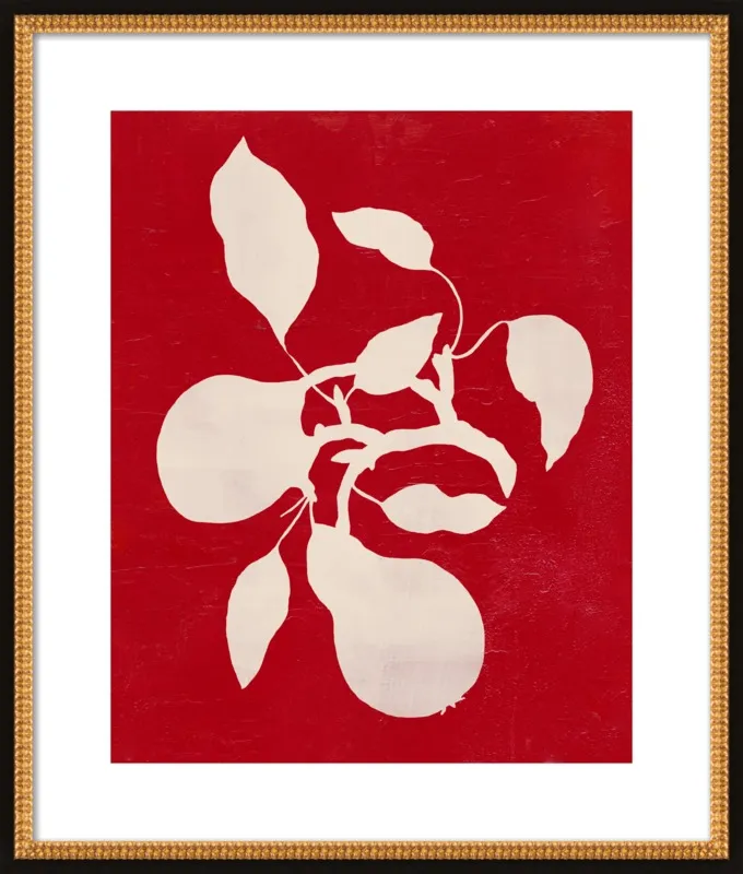 pears by Ruti Shaashua for Artfully Walls