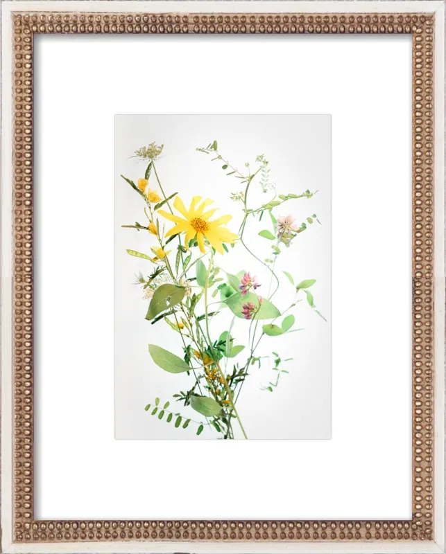 A Bunch of Wild Flowers by Qing Ji for Artfully Walls