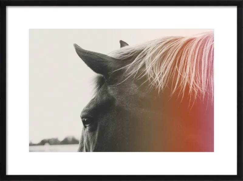 Pink Pony by Alicia Bock for Artfully Walls