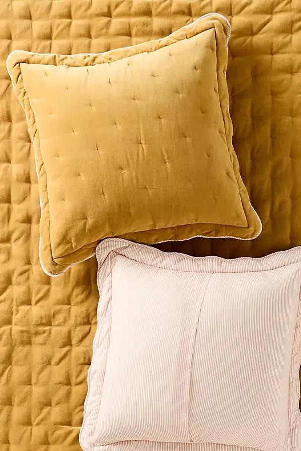 Abbott Cotton Velvet Solid Scalloped Euro Sham