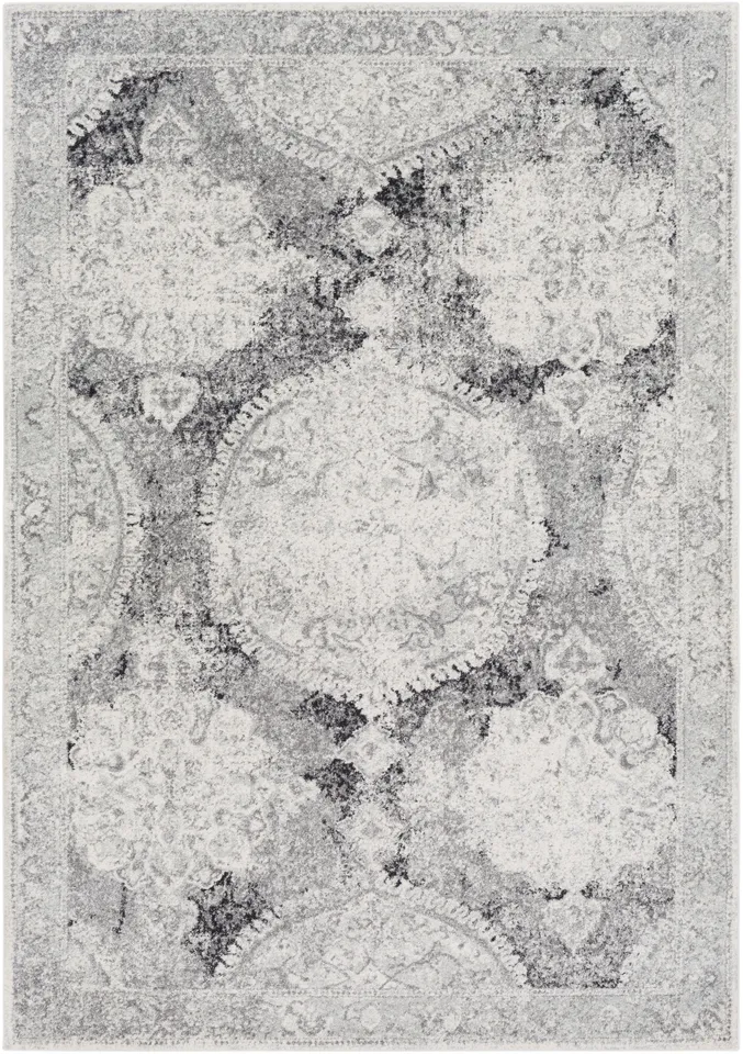 Harput Gray Indoor 3'11" x 5'7" Machine Woven Rug