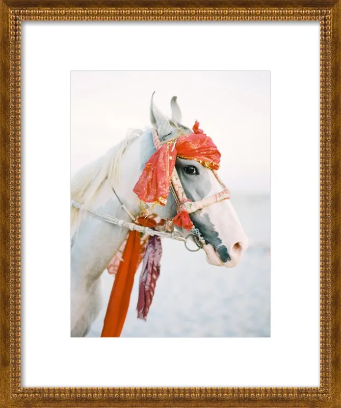 Marwari by Andrew Jacona for Artfully Walls