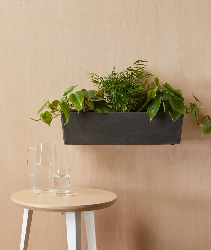 Ecopots Rectangular Wall Hanging Pot - Large (22" x 7") -  Charcoal