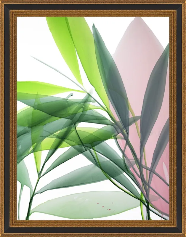 Tropical Study no. 15 by Marina Dunbar  for Artfully Walls