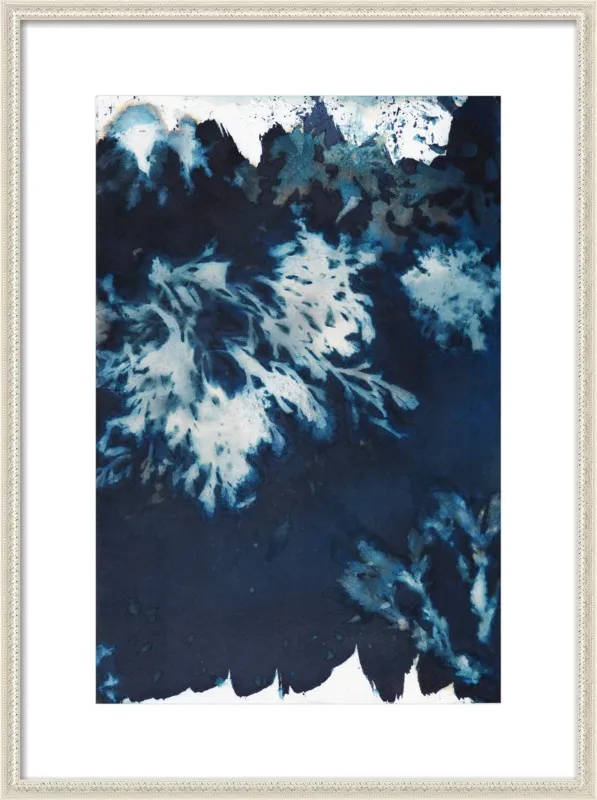 The Secret Life of Rockpools No. 62/100 by Desiree Elizabeth Malan for Artfully Walls