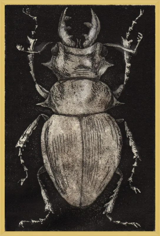 Grey Beetle on Black by Tennopent Sooster for Artfully Walls