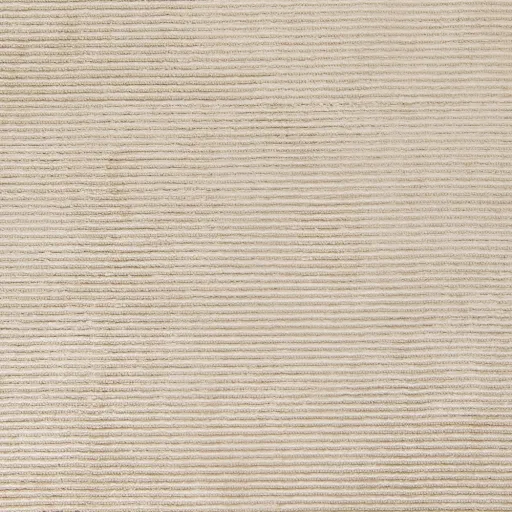 Tiffany Beige Indoor 2' x 3' Handmade Rug