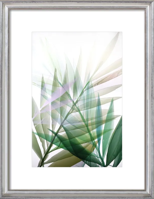 Tropical Study no. 8 by Marina Dunbar  for Artfully Walls
