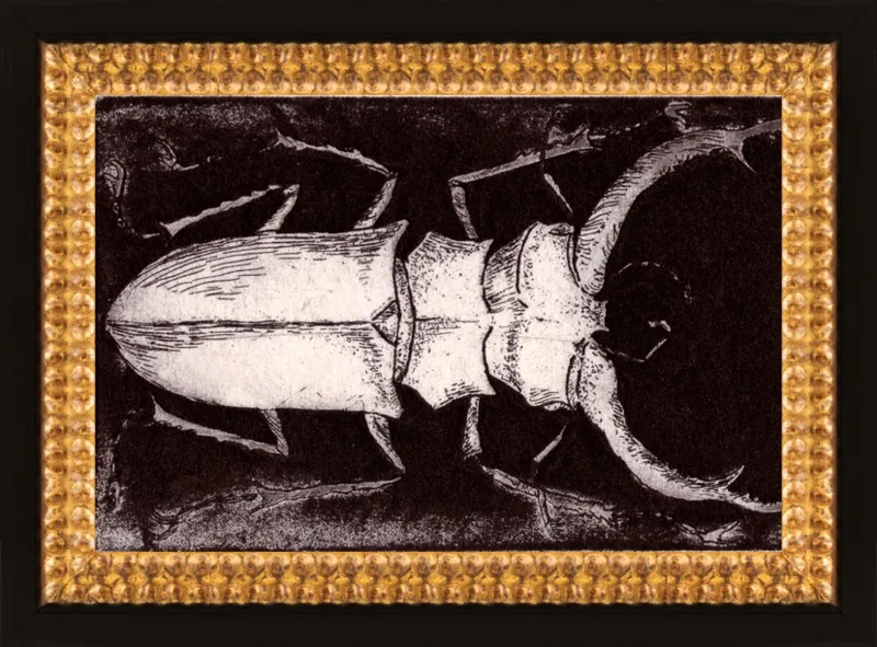 White Beetle on Dark Brown by Tennopent Sooster for Artfully Walls