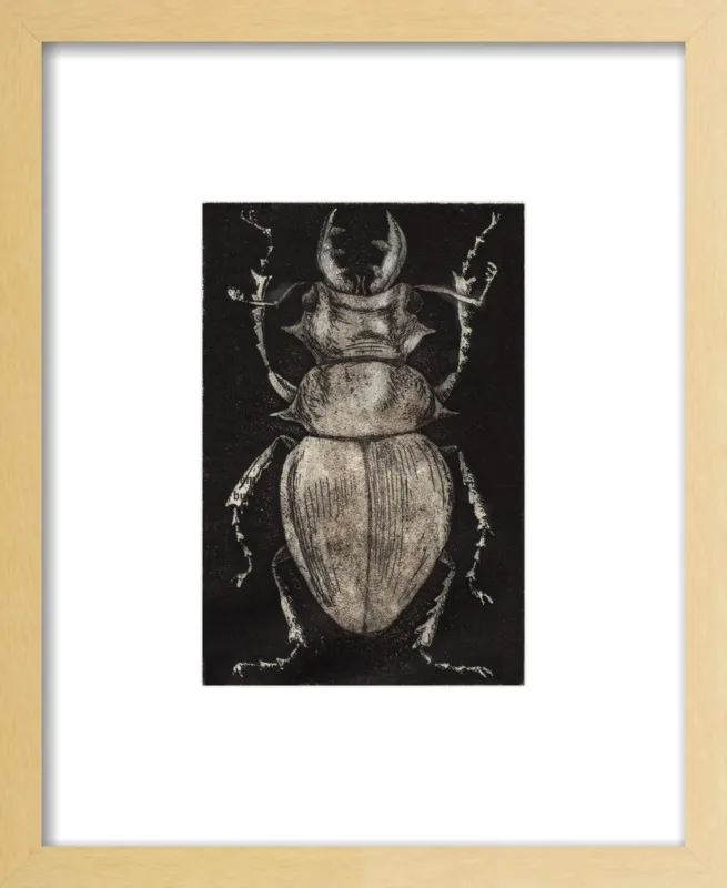 Grey Beetle on Black by Tennopent Sooster for Artfully Walls