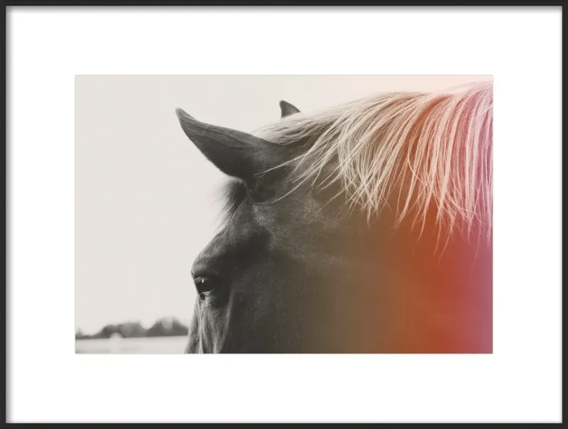 Pink Pony by Alicia Bock for Artfully Walls