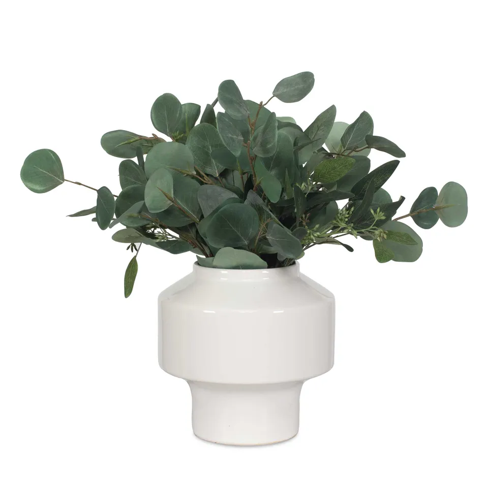 Essence Eucalyptus Accent & Vase