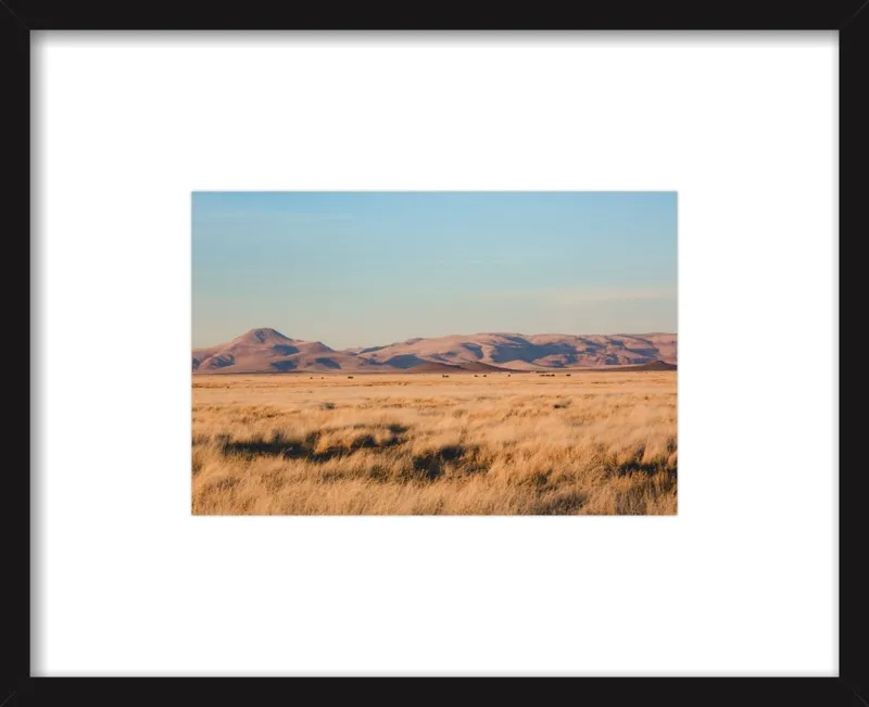 Where the Buffalo Roam by Ann Hudec for Artfully Walls