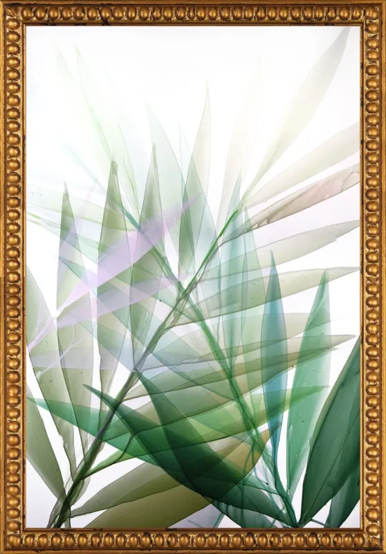 Tropical Study no. 8 by Marina Dunbar  for Artfully Walls