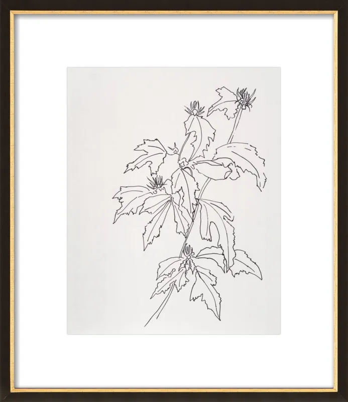 Leaves Rose of Sharon by Casey Chalem Anderson for Artfully Walls