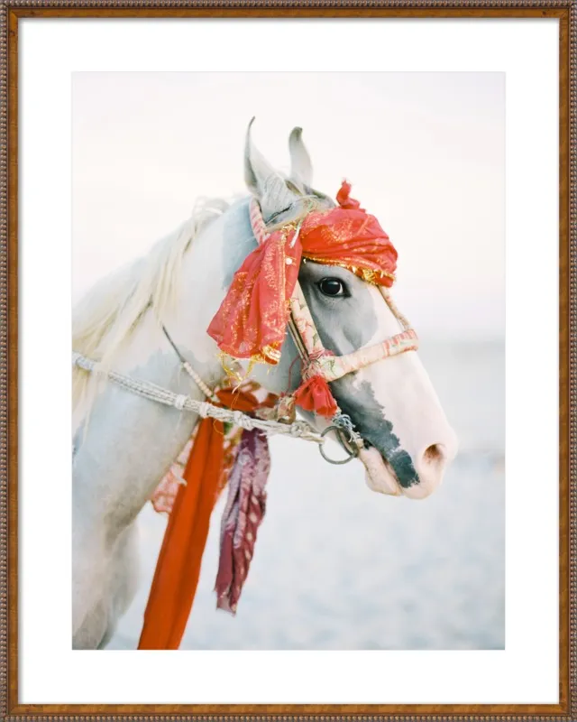 Marwari by Andrew Jacona for Artfully Walls