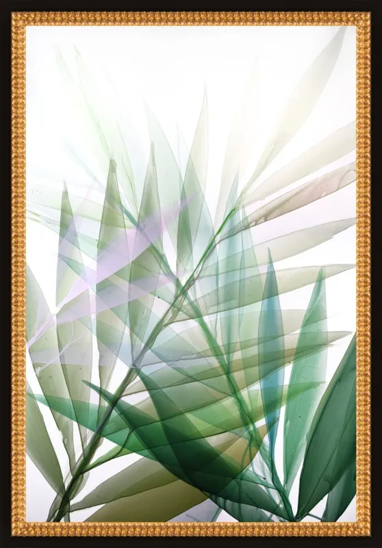 Tropical Study no. 8 by Marina Dunbar  for Artfully Walls
