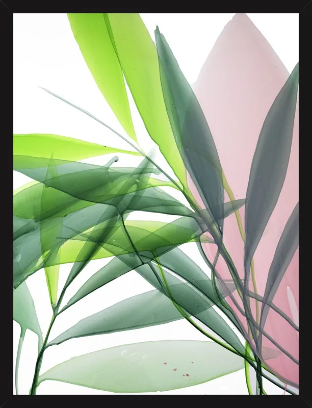 Tropical Study no. 15 by Marina Dunbar  for Artfully Walls