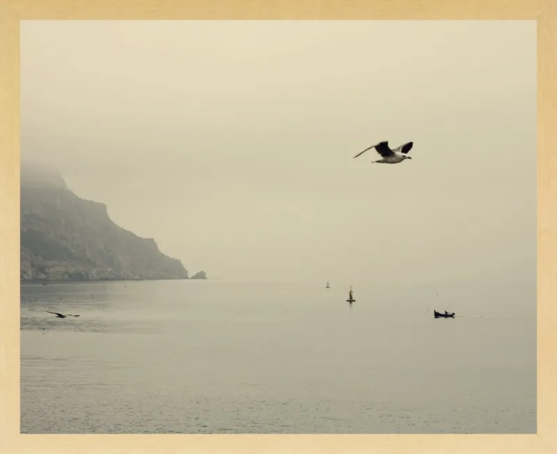one day I will fly away by Ingrid Beddoes for Artfully Walls