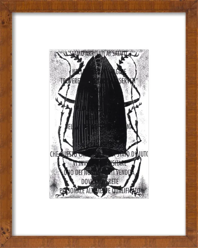 Black Beetle on Words by Tennopent Sooster for Artfully Walls