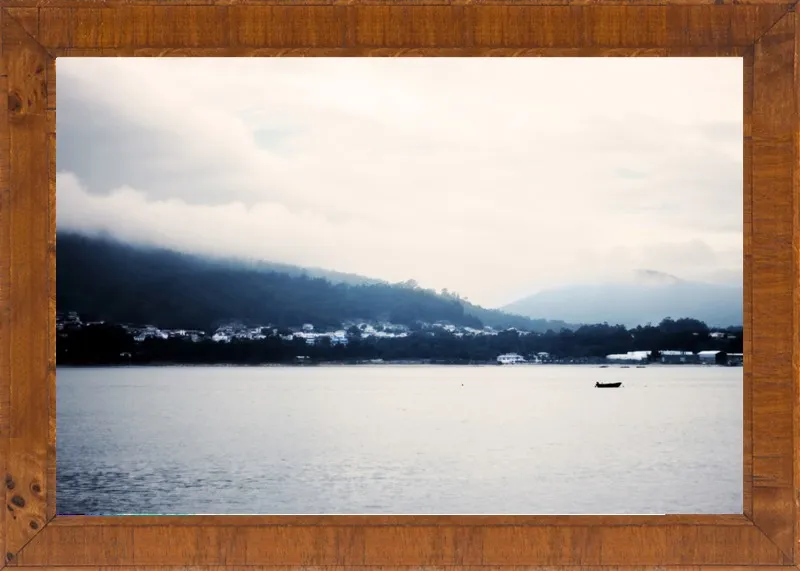 Caminha by Ingrid Beddoes for Artfully Walls