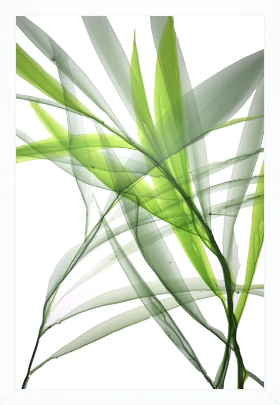 Tropical Study no. 3 by Marina Dunbar  for Artfully Walls