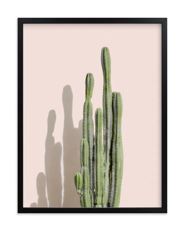 Palm Desert Cactus Open Edition Fine Art Print