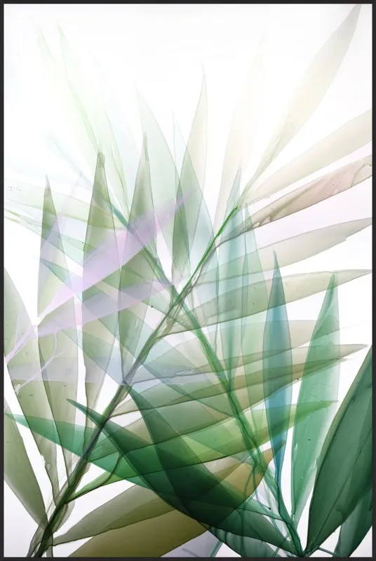 Tropical Study no. 8 by Marina Dunbar  for Artfully Walls