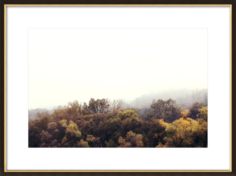 Autumn Afternoons by Hope Bainbridge  for Artfully Walls