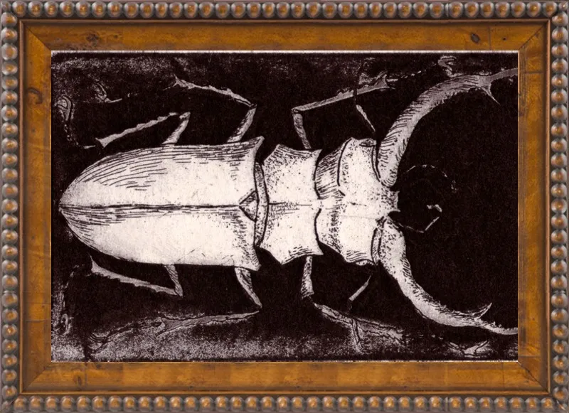 White Beetle on Dark Brown by Tennopent Sooster for Artfully Walls