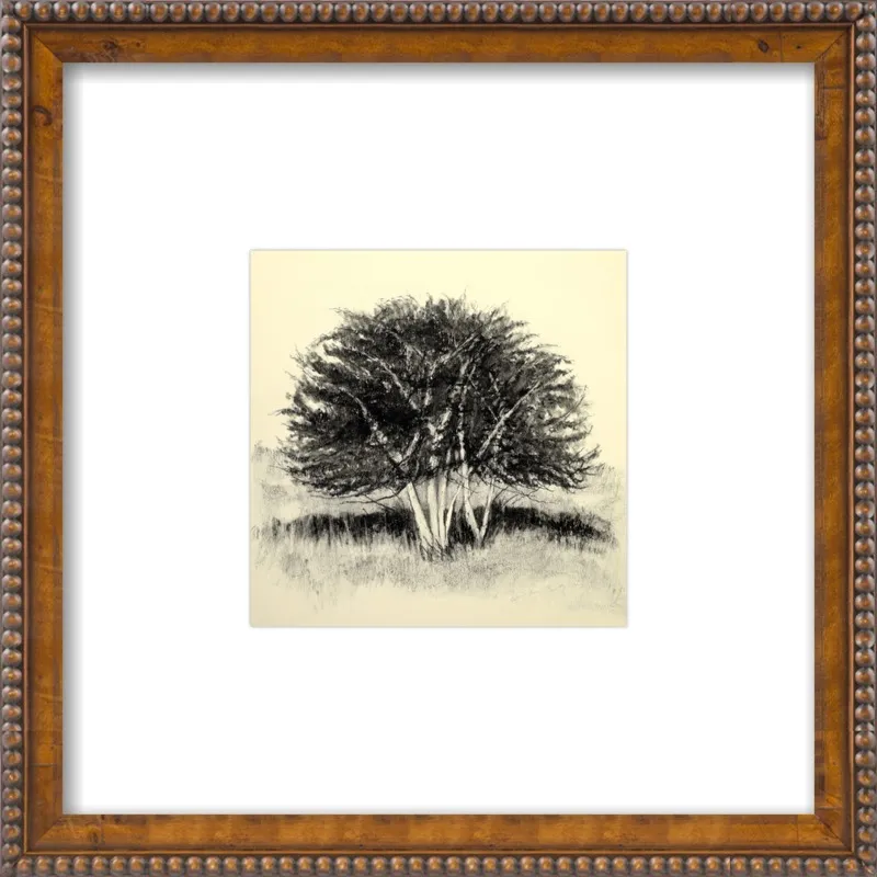 Old Apple Tree by Rich Gombar for Artfully Walls