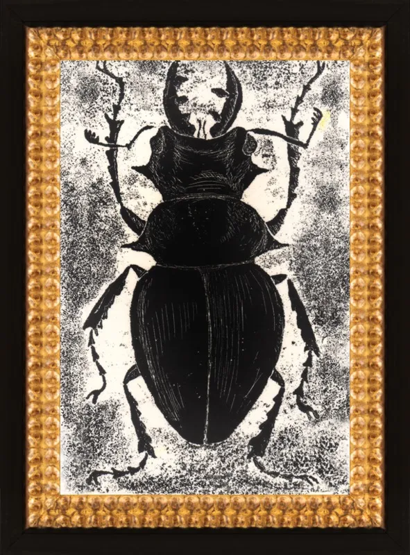 Black Beetle on White by Tennopent Sooster for Artfully Walls