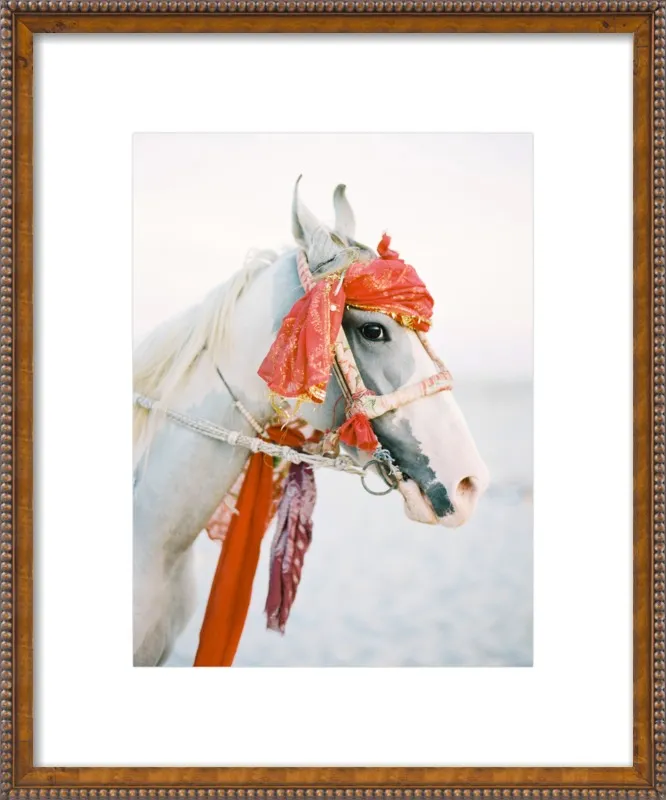 Marwari by Andrew Jacona for Artfully Walls