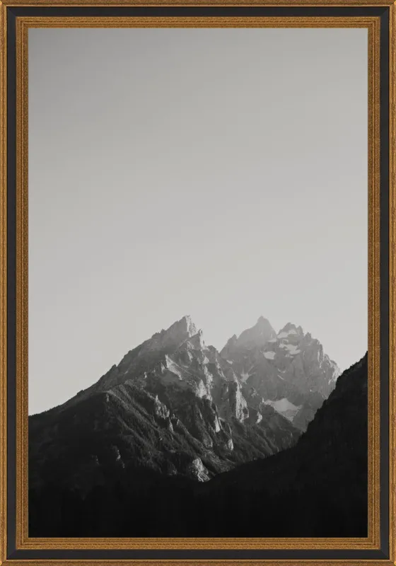 Chasing Light by Catherine McDonald for Artfully Walls