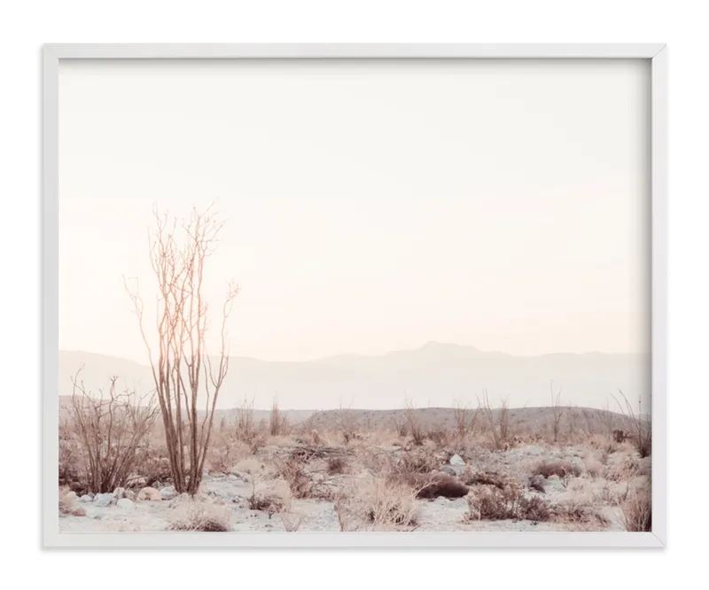 Ocotillo II Limited Edition Fine Art Print