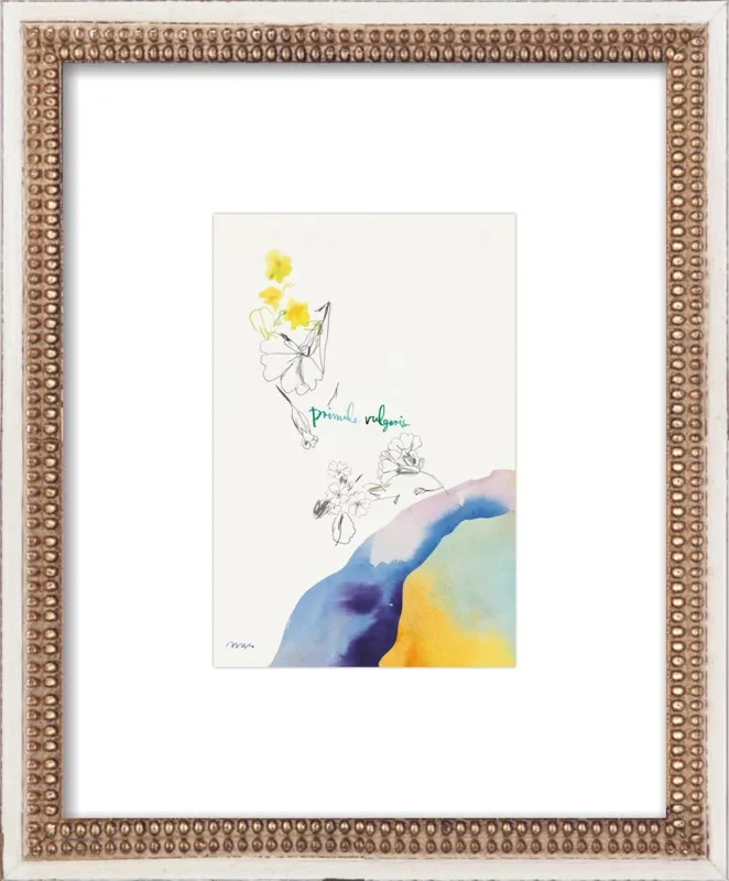 Primula Vulgaris by META WRABER for Artfully Walls
